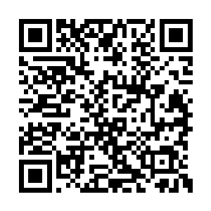 看来陶成军是真的想慢慢熬过去这一届就算完了二维码生成