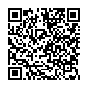 看样子你们是没把我覆海大圣蛟魔王放在眼里了二维码生成