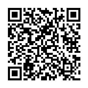 看样子只要我通过考验就可以有资本和夏洛先生好好谈谈了二维码生成
