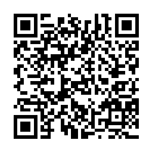 看样子在这个点儿至少有两条绿鱿鱼丧身于皮球之口了二维码生成