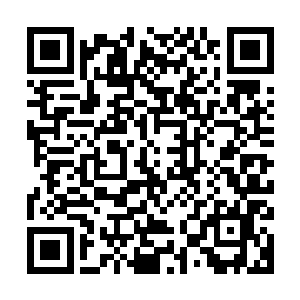 看样子在陆为民这里要想套点什么内幕性的东西基本上不可能了二维码生成