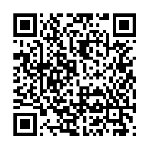 看样子她们很快就会多一个姐妹来分担她们的压力二维码生成