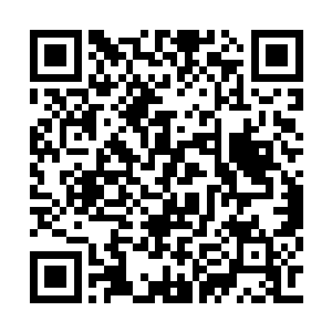 看样子比霍家拿出来给霍英救命的老参年份还长二维码生成