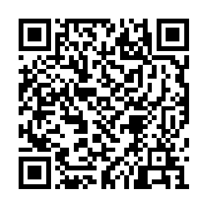 看样子这些药材在小兄弟这里才能发挥出大作用二维码生成