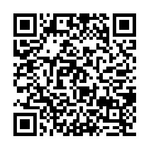 看样子追风的出现果然是让这些家伙们极为在意二维码生成