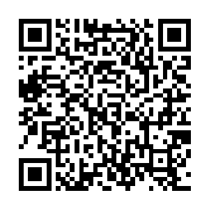 看样子那灭绝队这一次是真的狠了心要把大力队给挖出来呀二维码生成