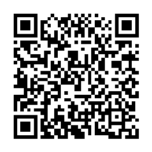 看法浩那护体法罡随时要崩溃还依然向前的样子二维码生成
