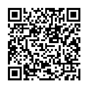 看的一脑门雾水的睿心里好像无数个爪子在挠痒痒二维码生成