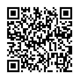 看看接下来夏天和古族的这一战究竟会变成什么样二维码生成