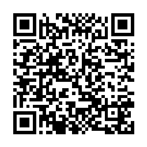 看看能不能再给黑铁之堡弄一些植物或植物种子进来二维码生成