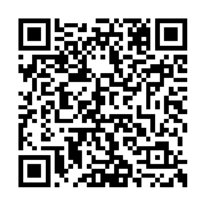 看着一个个家长们带着自己的孩子进入了会议室二维码生成