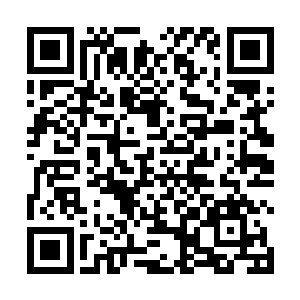 看着一脸警惕之色的站在张开房门外的十几名精锐守卫二维码生成