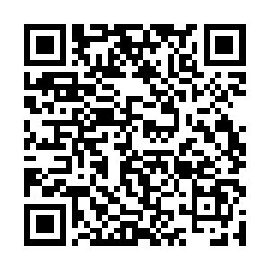 看着他们族长那张堪比冰川的脸莫名的感觉有点喜感二维码生成