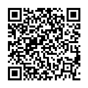 看着他的表情像是看一条蚯蚓没差别……秦云峥也说不好二维码生成