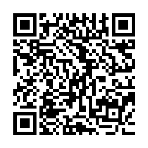 看着先前还在嘴巴的人类突然一下子不见了然后恼火的尖叫起来二维码生成