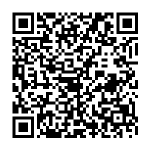 看着刚才还有一艘船的地方现在只有空空如也的海面和不远处的复仇者号二维码生成