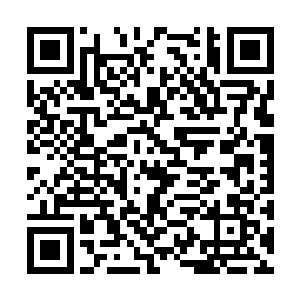 看着前面顿时也有着四名凶神恶煞的看着自己两人二维码生成