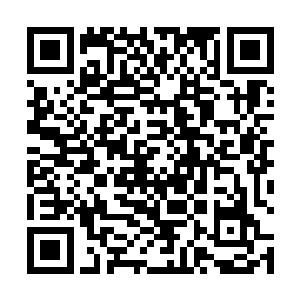 看着卢院长直接拿出了手机来给他拍照的那急切的样子二维码生成