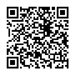 看着周围这些都是新人被变成的仙兽眼巴巴的看着自己二维码生成