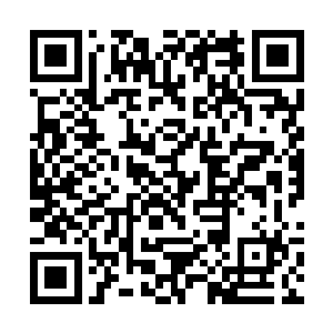 看着地面上那因南肖潇大力踩踏而留下来的巨大深坑二维码生成