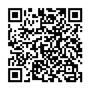 看着大量的农民工涌进了翱翔集团公司的办公楼领工资二维码生成