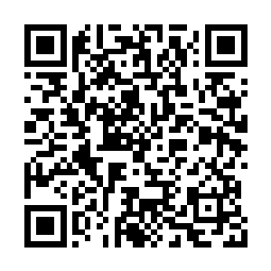 看着季宸渊这般冷硬之中带了体贴不仅有些羡慕二维码生成