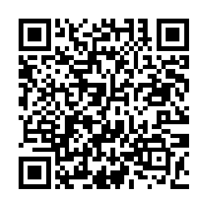 看着客厅沙发上兀自醉酒昏睡的萨莎也只能摇头苦笑二维码生成