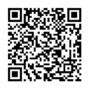 看着少年的神色就像是在看族里的老祭祀一样的崇敬二维码生成