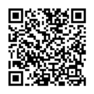 看着屏幕上那么多家喻户晓的明星排成排一起站出来歌唱二维码生成