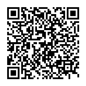 看着屏幕上那辆绑架着香奈儿的面包车被一群警车堵死在立交桥上二维码生成