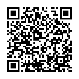 看着惨白脸颊因为激动而透出不正常红晕的王思远二维码生成
