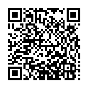 看着文晓妮在一个叫什么疯狂大摆锤的器械上各种公转自转二维码生成