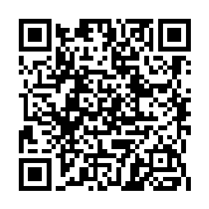 看着柳泱泱和十三公主的眼神便带上了一丝戾色二维码生成