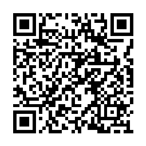 看着柳逸尘的拳头冲着自己的胸口直接打了过来二维码生成