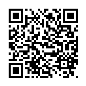 看着梦中的雀鸟在他的背后拼命追赶二维码生成