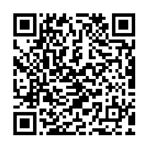 看着滑翔机驾驶舱里面的操纵杆和那些踏板按钮拉杆之类的东东二维码生成