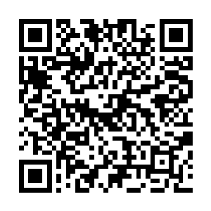 看着狼狈逃出来的服部久成和那个伊贺流的宗师级巅峰老者二维码生成