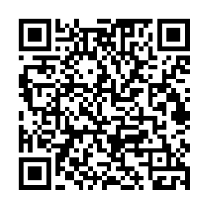 看着王府中的庭院景致都不由得露出了一丝惊讶之色二维码生成