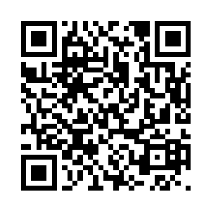 看着眼前一脸激动又不知所措的掌柜二维码生成