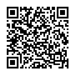看着眼前的圣彼得大教堂龙王的眉头也是不由的皱了起来二维码生成