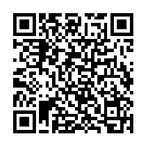 看着眼前的说长不长说圆不圆的木头想着要怎么下刀二维码生成