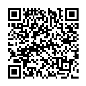 看着眼前这个就算是疼痛也一点反应都没有的男子二维码生成