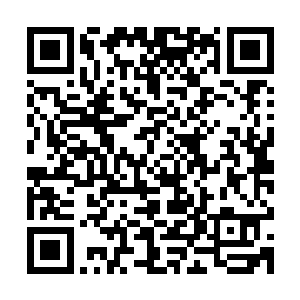 看着眼前这六七千人以及散落在各个角落之中不断被屠杀的同胞二维码生成