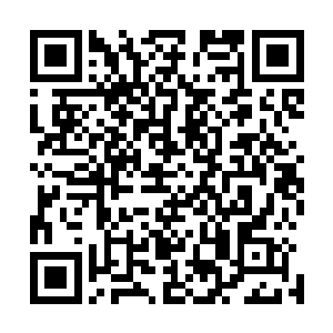 看着自己的贴身保镖童玲和那个口花花的莫凡打的有声有色二维码生成