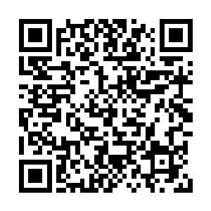 看着衙署外头各个军中之间这个暗流涌动的模样二维码生成