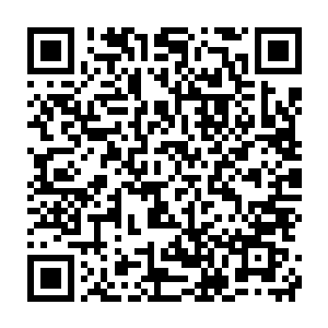 看着负责种田的幸存者们把掉落在地里的陨石清理出来放进一个大筐二维码生成