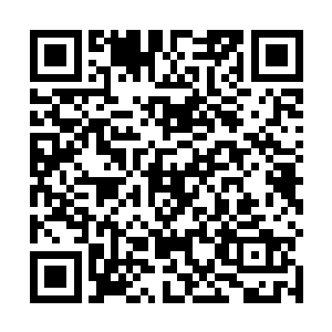看着距离自己有着十来丈的那道与自已一样削瘦的身影二维码生成