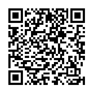 看着这样脸他就可以想象出这人喜怒哀乐各种时候的表情二维码生成