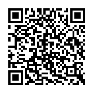 看着那些灾民眼中放出来的若狼一样的凶狠绿光二维码生成