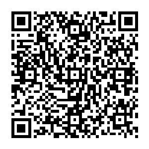 看着那盘成一圈卧在楼梯上的大青蛇我的心中不禁对这个大青蛇口中的先生充满了好奇二维码生成